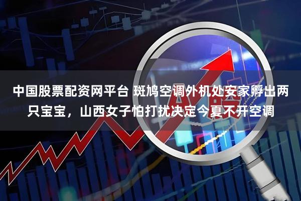 中国股票配资网平台 斑鸠空调外机处安家孵出两只宝宝，山西女子怕打扰决定今夏不开空调